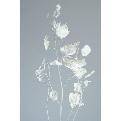 Tired White Modern Wood Framed Art Print by Westum, Heidi