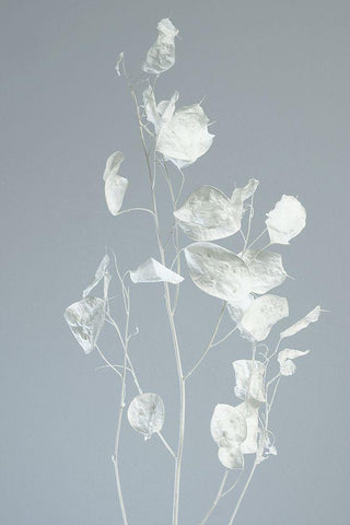 Tired Black Ornate Wood Framed Art Print with Double Matting by Westum, Heidi