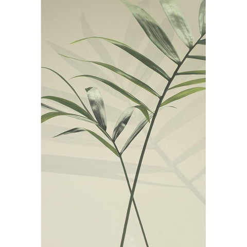 Together Black Modern Wood Framed Art Print with Double Matting by Westum, Heidi