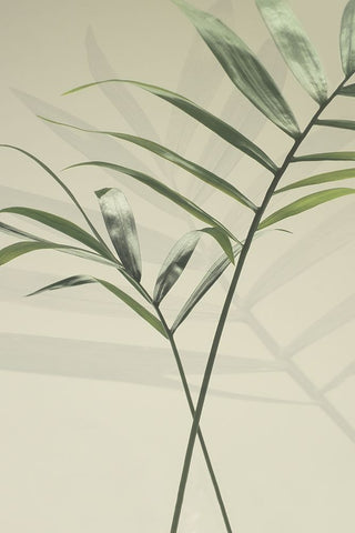 Together Black Ornate Wood Framed Art Print with Double Matting by Westum, Heidi