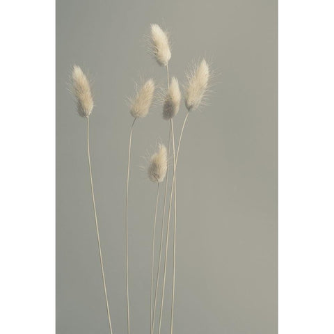 In All Simplicity Black Modern Wood Framed Art Print with Double Matting by Westum, Heidi