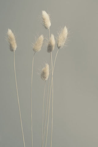 In All Simplicity White Modern Wood Framed Art Print with Double Matting by Westum, Heidi