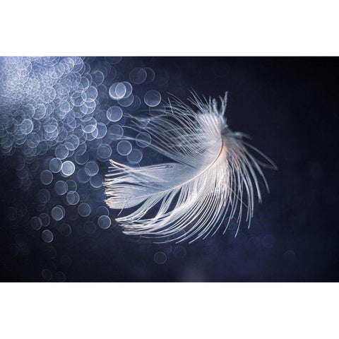 Placidity White Modern Wood Framed Art Print by Kopcev, Igor