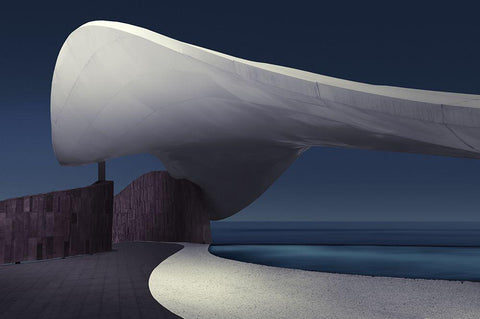 At The Seaside Of Dreams Black Ornate Wood Framed Art Print with Double Matting by Xibiaohuang