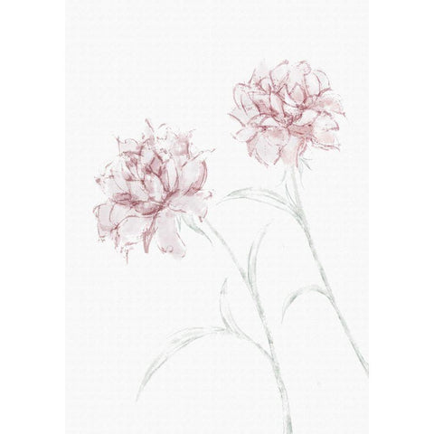 Peony 03 Black Modern Wood Framed Art Print with Double Matting by 1x Studio II