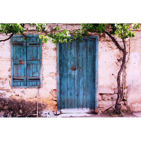 Forsaken House II Gold Ornate Wood Framed Art Print with Double Matting by Shrayer, Igor