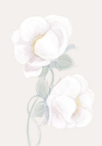Lush Peony White Modern Wood Framed Art Print with Double Matting by 1x Studio II