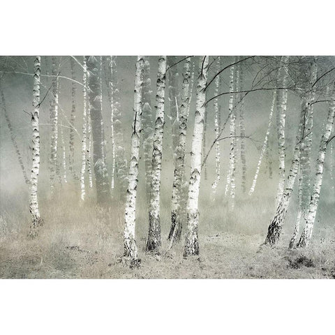 Morning Silence White Modern Wood Framed Art Print by Talen, Nel