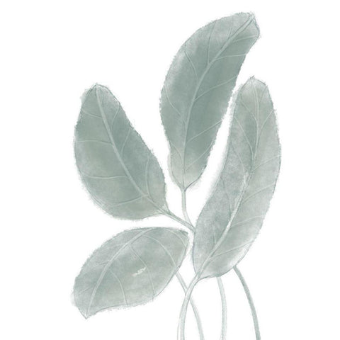 Leaves Watercolor 02 Black Modern Wood Framed Art Print by 1x Studio II