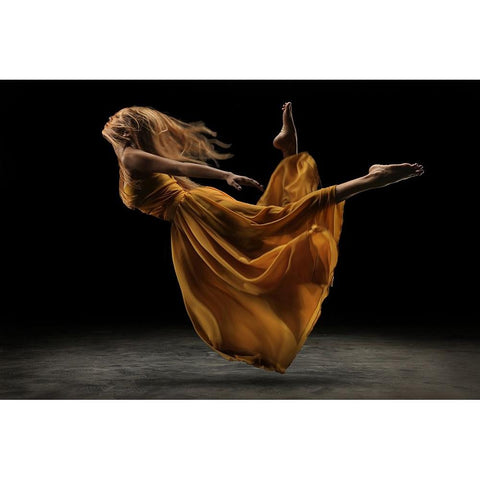 Flying Free Black Modern Wood Framed Art Print with Double Matting by Kisworo, Sebastian