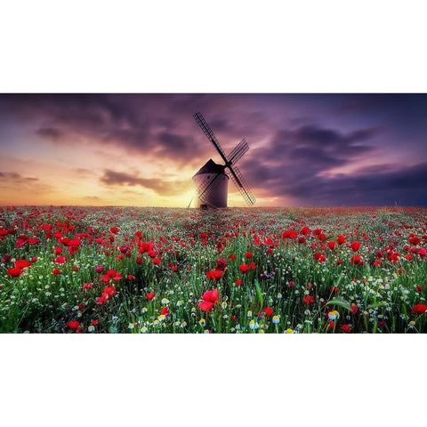 Spring By The Windmill Gold Ornate Wood Framed Art Print with Double Matting by Antonio Trivino, Jose