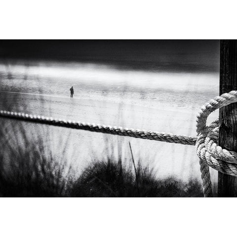 Fixed Black Modern Wood Framed Art Print by Tanzer, Ina