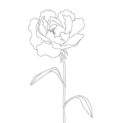 Peony Lines Gold Ornate Wood Framed Art Print with Double Matting by 1x Studio II