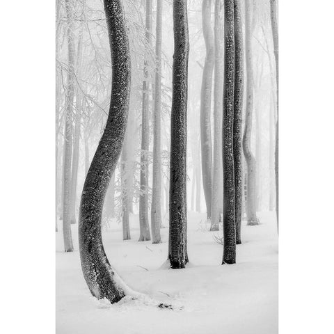 Shapes Black Modern Wood Framed Art Print by Pavlasek, Tom