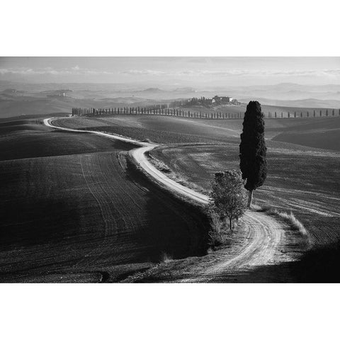 Morning In The Field Black Modern Wood Framed Art Print with Double Matting by Anton, Rostovskiy