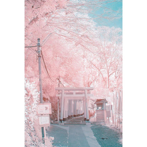 Infrared Photography Black Modern Wood Framed Art Print by yuuui