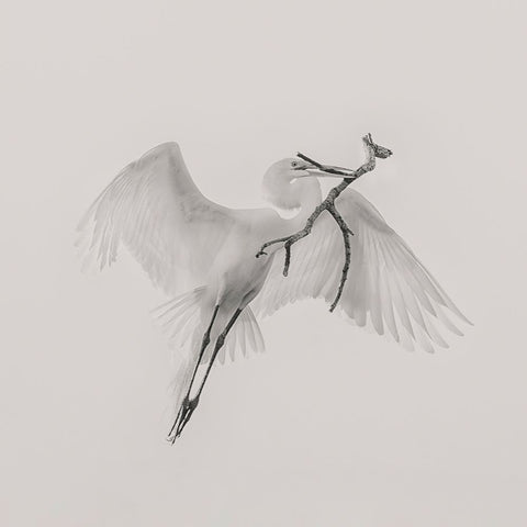 A Good One White Modern Wood Framed Art Print with Double Matting by Zhao, Qing