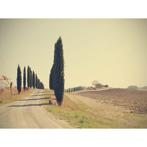 Tuscan Countryside White Modern Wood Framed Art Print by Della Latta, Massimo