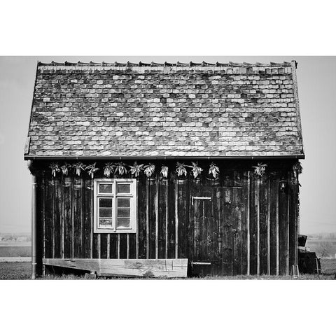 Old Shed White Modern Wood Framed Art Print by Ebert, Steffen
