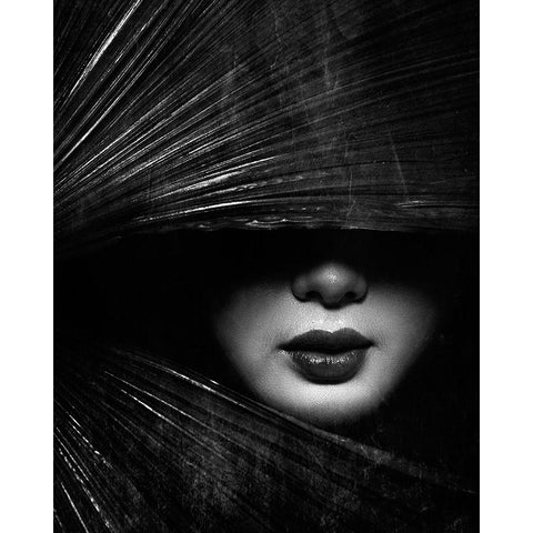 Untitled Black Modern Wood Framed Art Print with Double Matting by Skip, Anthony