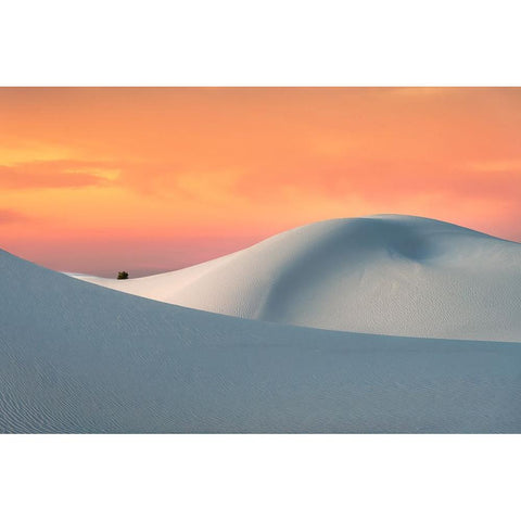 White Sands Black Modern Wood Framed Art Print with Double Matting by Ning, Aidong