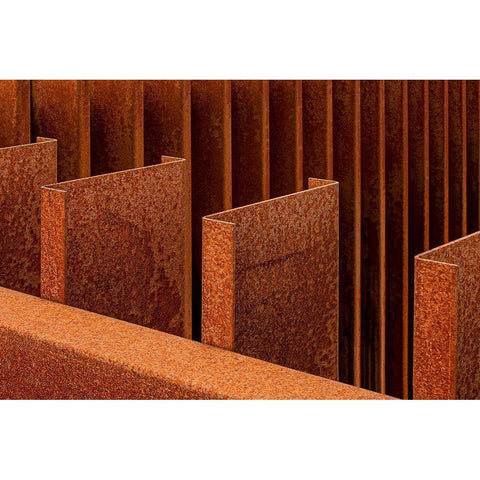 Finished With Steel Black Modern Wood Framed Art Print with Double Matting by Martin Annapileafotografie, Anita