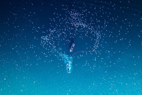 Fishing Black Ornate Wood Framed Art Print with Double Matting by AL Farsi, Haitham