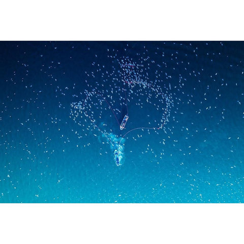 Fishing White Modern Wood Framed Art Print by AL Farsi, Haitham