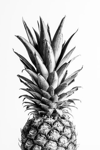 Pineapple Black A White 01 Black Ornate Wood Framed Art Print with Double Matting by 1x Studio III