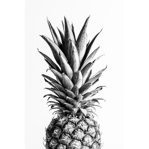 Pineapple Black A White 01 Black Modern Wood Framed Art Print with Double Matting by 1x Studio III