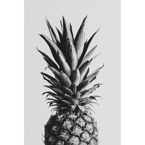 Pineapple Black A White 02 Black Modern Wood Framed Art Print with Double Matting by 1x Studio III