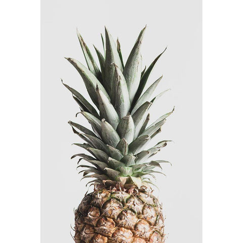 Pineapple Natural White Modern Wood Framed Art Print by 1x Studio III