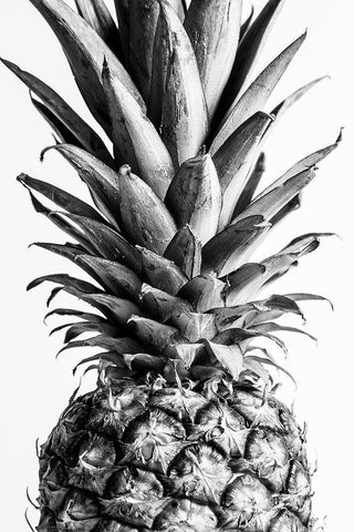 Pinapple Black a White 03 Black Ornate Wood Framed Art Print with Double Matting by 1x Studio III