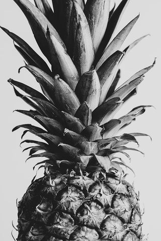 Pinapple Black a White 04 White Modern Wood Framed Art Print with Double Matting by 1x Studio III