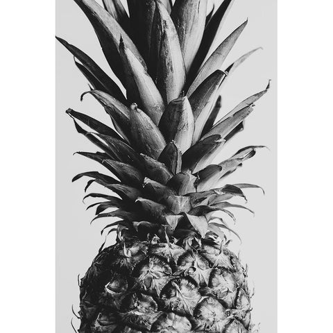 Pinapple Black a White 04 Black Modern Wood Framed Art Print with Double Matting by 1x Studio III