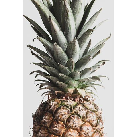 Pineapple Natural 03 White Modern Wood Framed Art Print by 1x Studio III