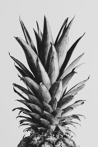 Pinapple Black a White 05 Black Ornate Wood Framed Art Print with Double Matting by 1x Studio III