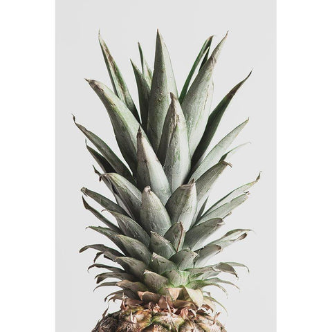 Pineapple Natural 02 Black Modern Wood Framed Art Print with Double Matting by 1x Studio III