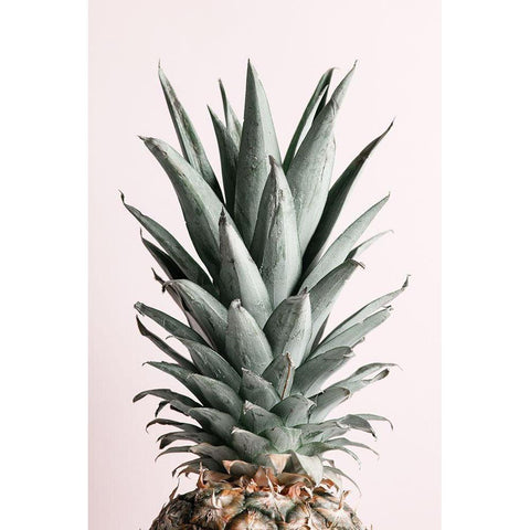 Pineapple Natural Tint Black Modern Wood Framed Art Print by 1x Studio III