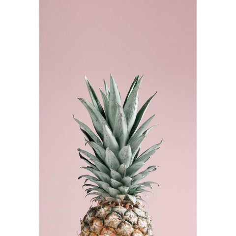 Pineapple Pink 01 Gold Ornate Wood Framed Art Print with Double Matting by 1x Studio III