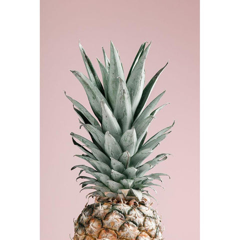 Pineapple Pink 02 White Modern Wood Framed Art Print by 1x Studio III