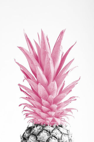 Pinapple Pink 03 White Modern Wood Framed Art Print with Double Matting by 1x Studio III