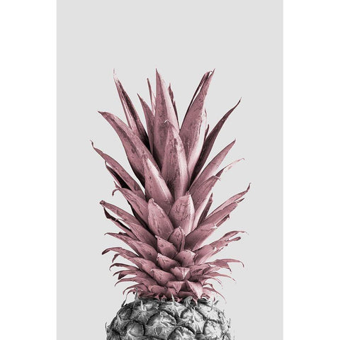 Pineapple Pink 04 Gold Ornate Wood Framed Art Print with Double Matting by 1x Studio III