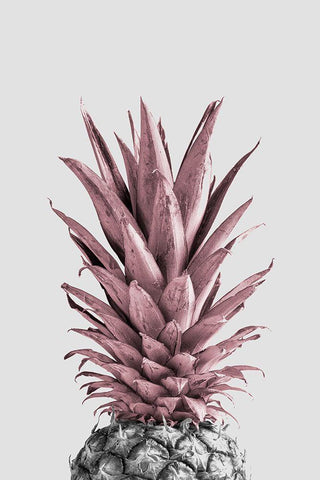 Pineapple Pink 04 White Modern Wood Framed Art Print with Double Matting by 1x Studio III