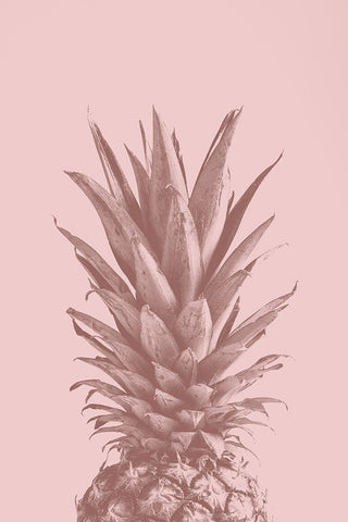 Pinapple Pink 05 White Modern Wood Framed Art Print with Double Matting by 1x Studio III