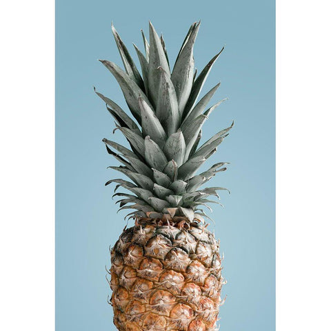 Pineapple Blue 02 White Modern Wood Framed Art Print by 1x Studio III