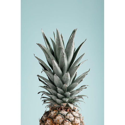 Pineapple Blue 03 Black Modern Wood Framed Art Print with Double Matting by 1x Studio III