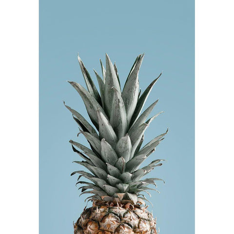 Pineapple Blue 04 Black Modern Wood Framed Art Print with Double Matting by 1x Studio III