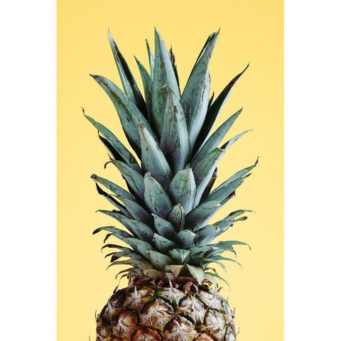 Pineapple Yellow 01 Black Modern Wood Framed Art Print with Double Matting by 1x Studio III