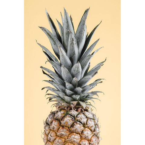 Pineapple Yellow 02 Black Modern Wood Framed Art Print with Double Matting by 1x Studio III